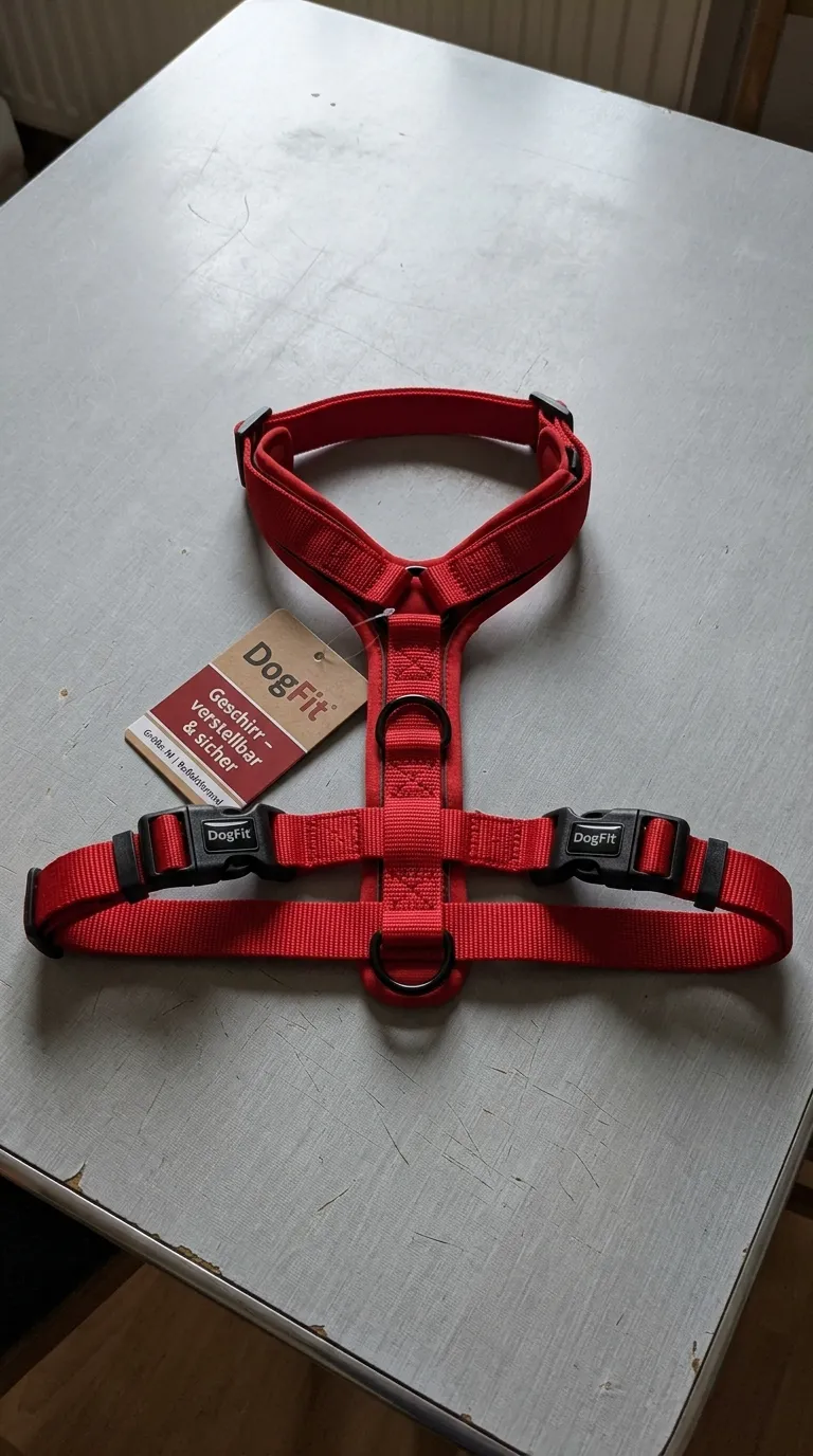 Kundenfoto DogFit Hundegeschirr – Smartphone-Aufnahme vor der Bearbeitung